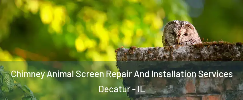  Chimney Animal Screen Repair And Installation Services Decatur - IL