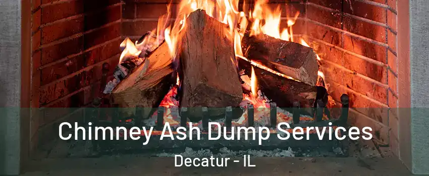  Chimney Ash Dump Services Decatur - IL