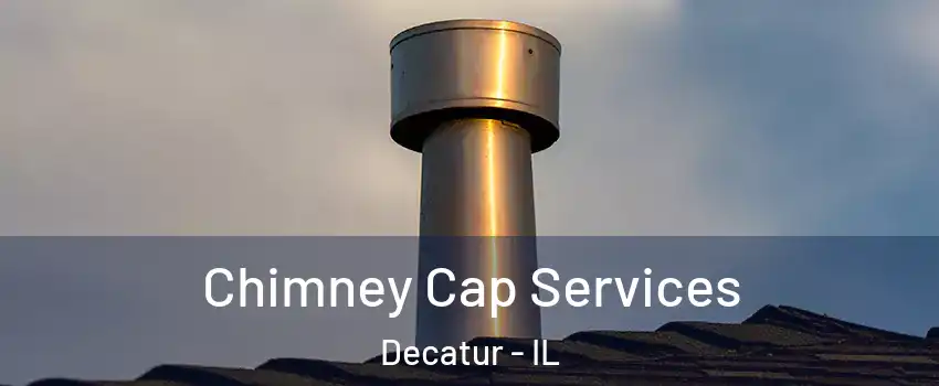  Chimney Cap Services Decatur - IL