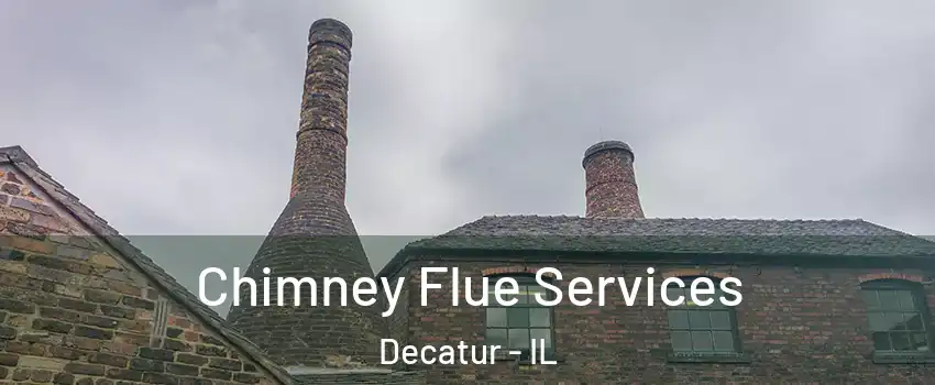  Chimney Flue Services Decatur - IL