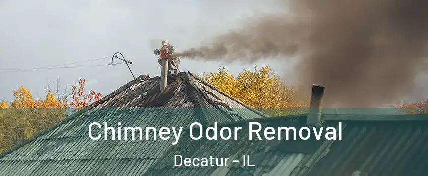  Chimney Odor Removal Decatur - IL