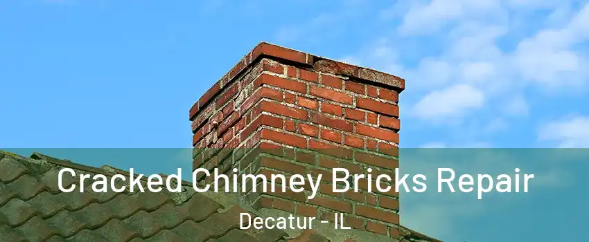  Cracked Chimney Bricks Repair Decatur - IL