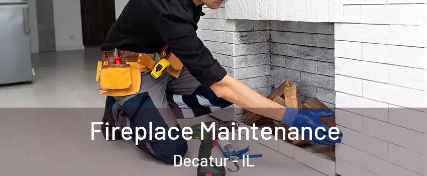  Fireplace Maintenance Decatur - IL