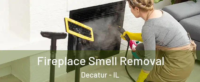  Fireplace Smell Removal Decatur - IL