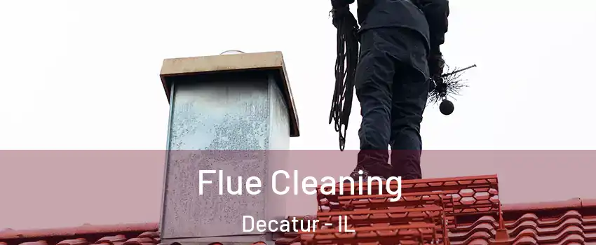  Flue Cleaning Decatur - IL
