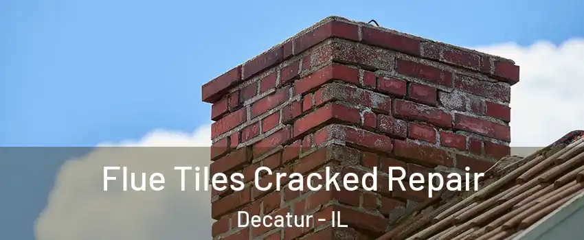  Flue Tiles Cracked Repair Decatur - IL