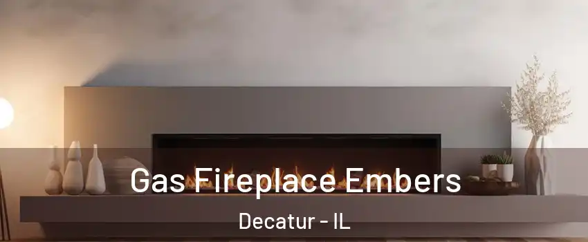  Gas Fireplace Embers Decatur - IL