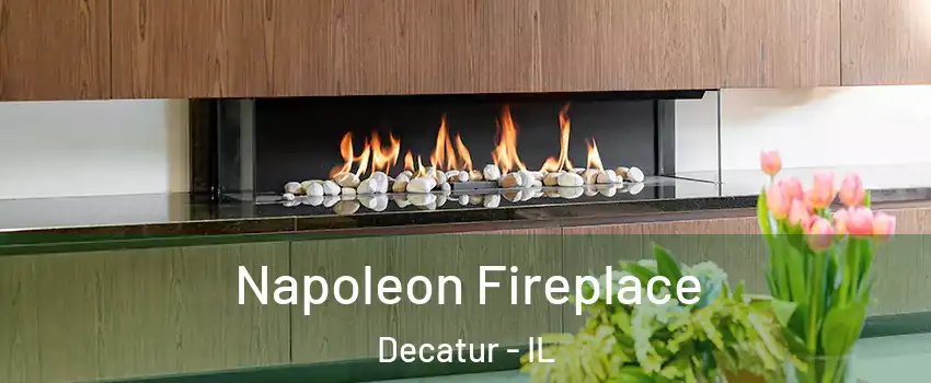  Napoleon Fireplace Decatur - IL